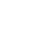 BOSCH-b.png