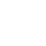 Bayer-b.png