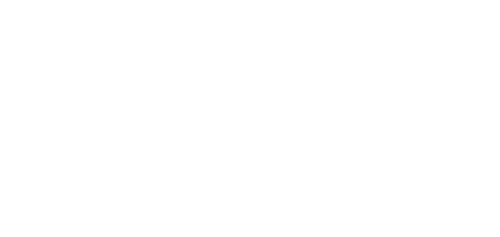Grupo SLI