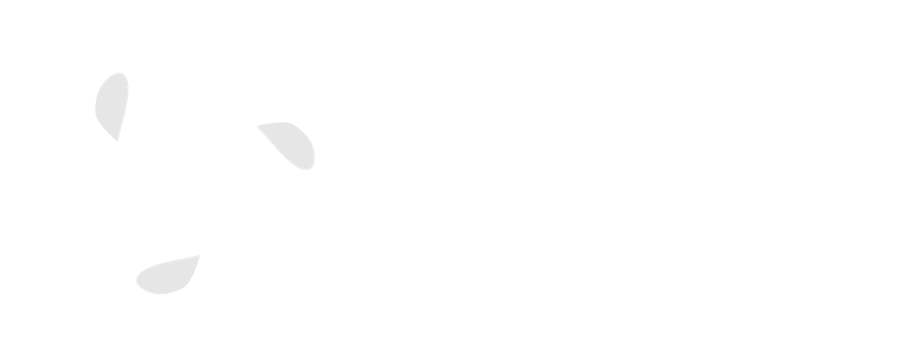HR Consulting Central America