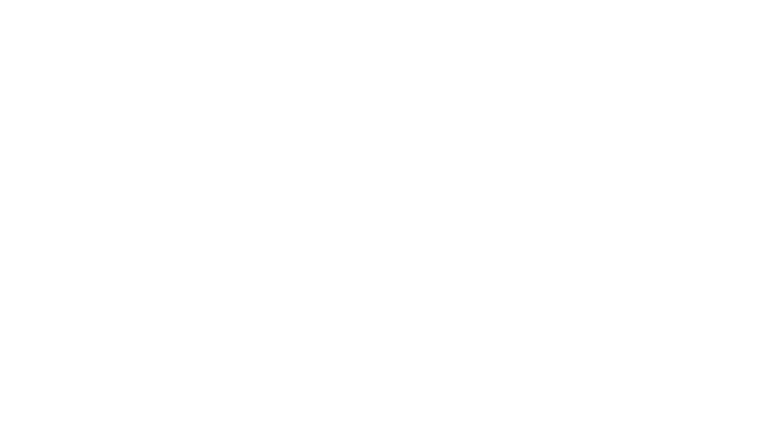 MAPFRE
